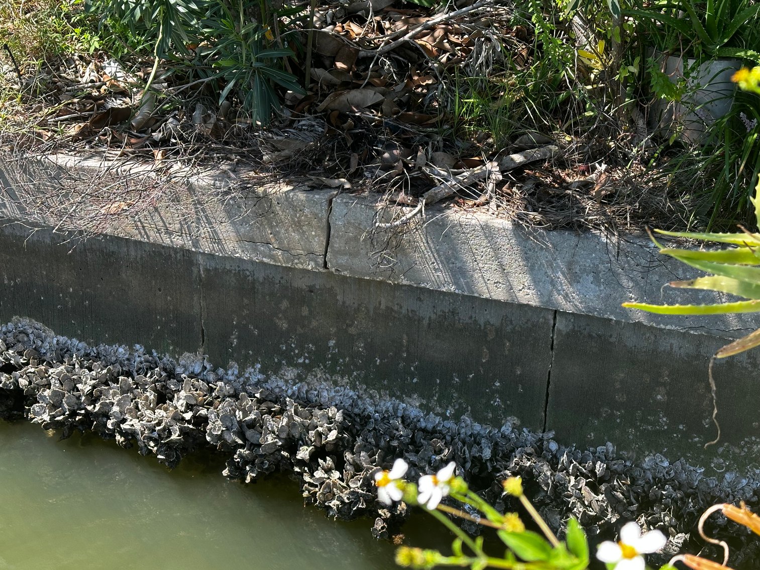 Image for 5903 BIMINI WAY N, ST PETE BEACH, Florida 33706