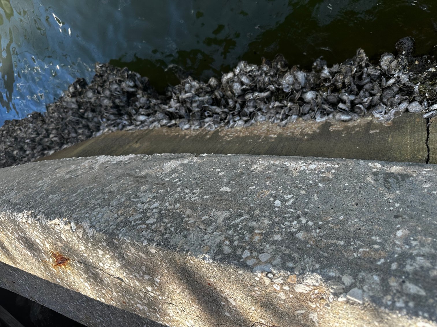 Image for 5903 BIMINI WAY N, ST PETE BEACH, Florida 33706