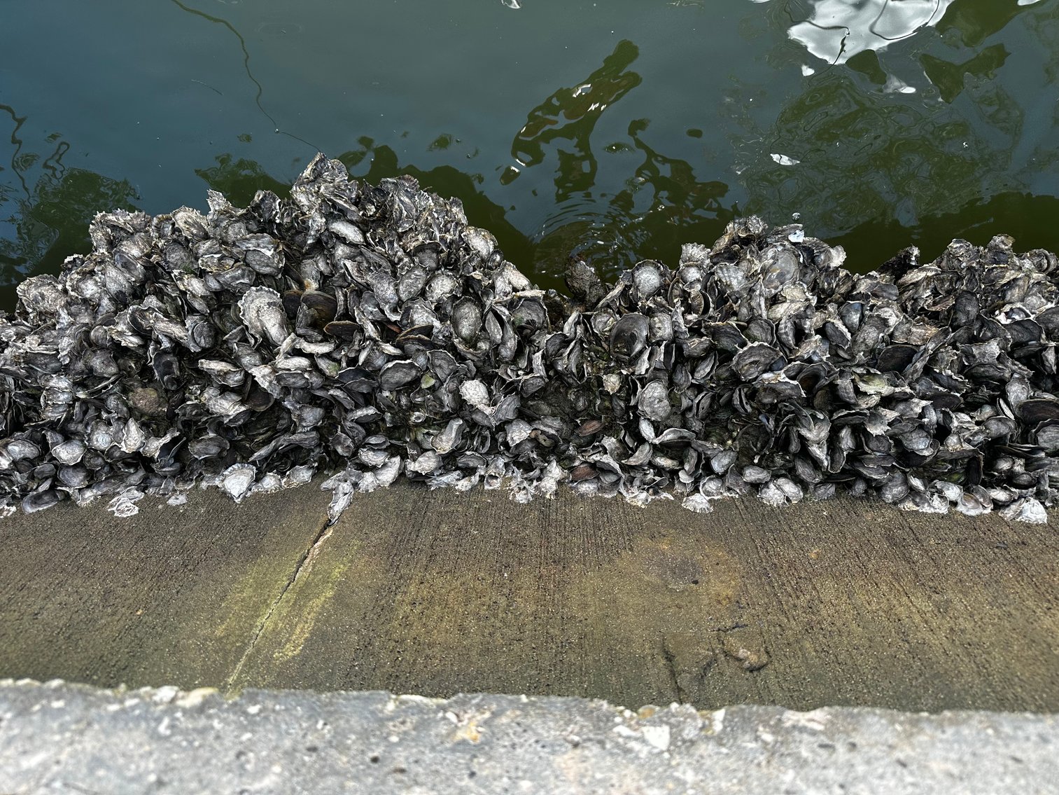 Image for 5903 BIMINI WAY N, ST PETE BEACH, Florida 33706