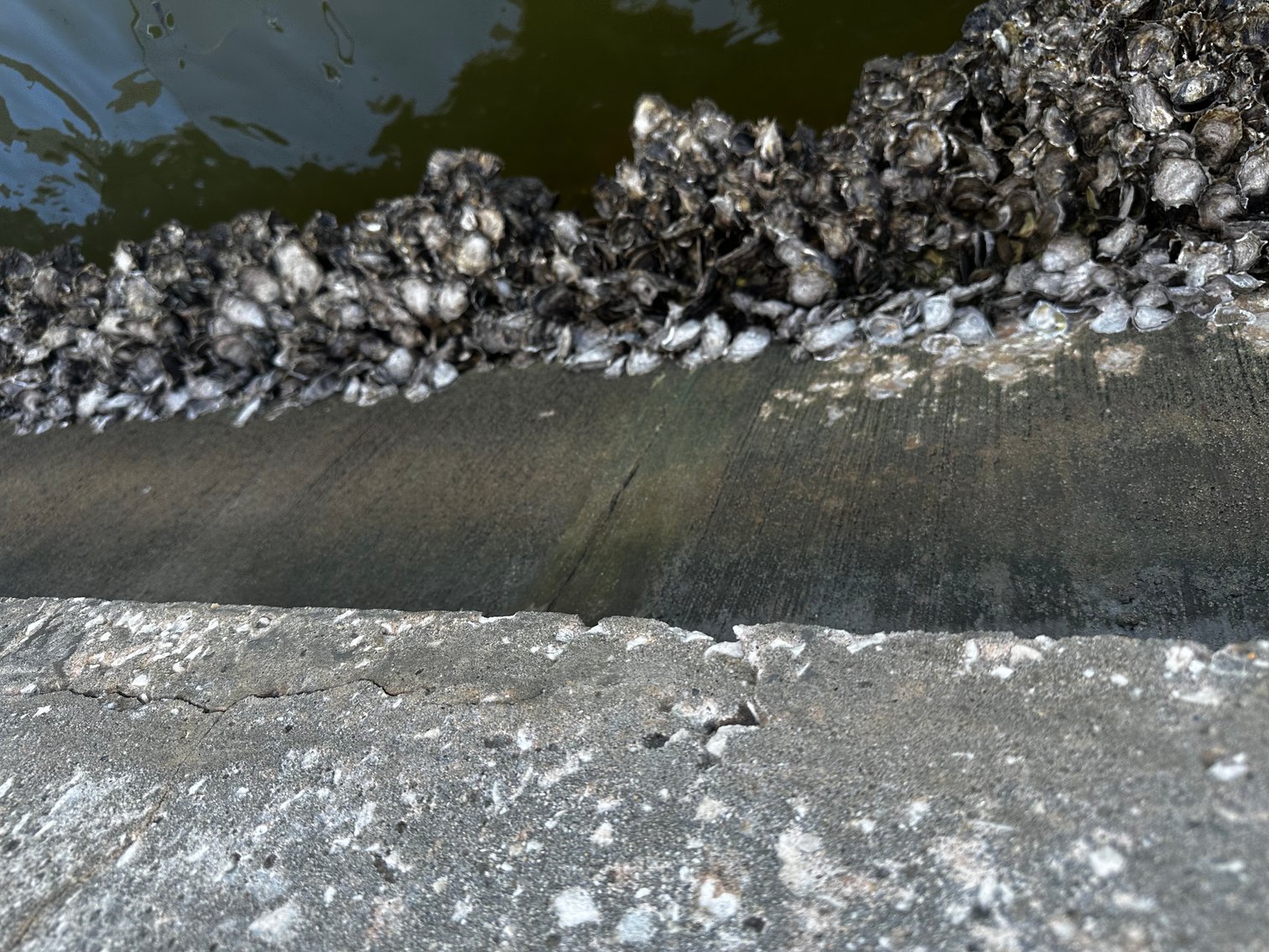 Image for 5903 BIMINI WAY N, ST PETE BEACH, Florida 33706