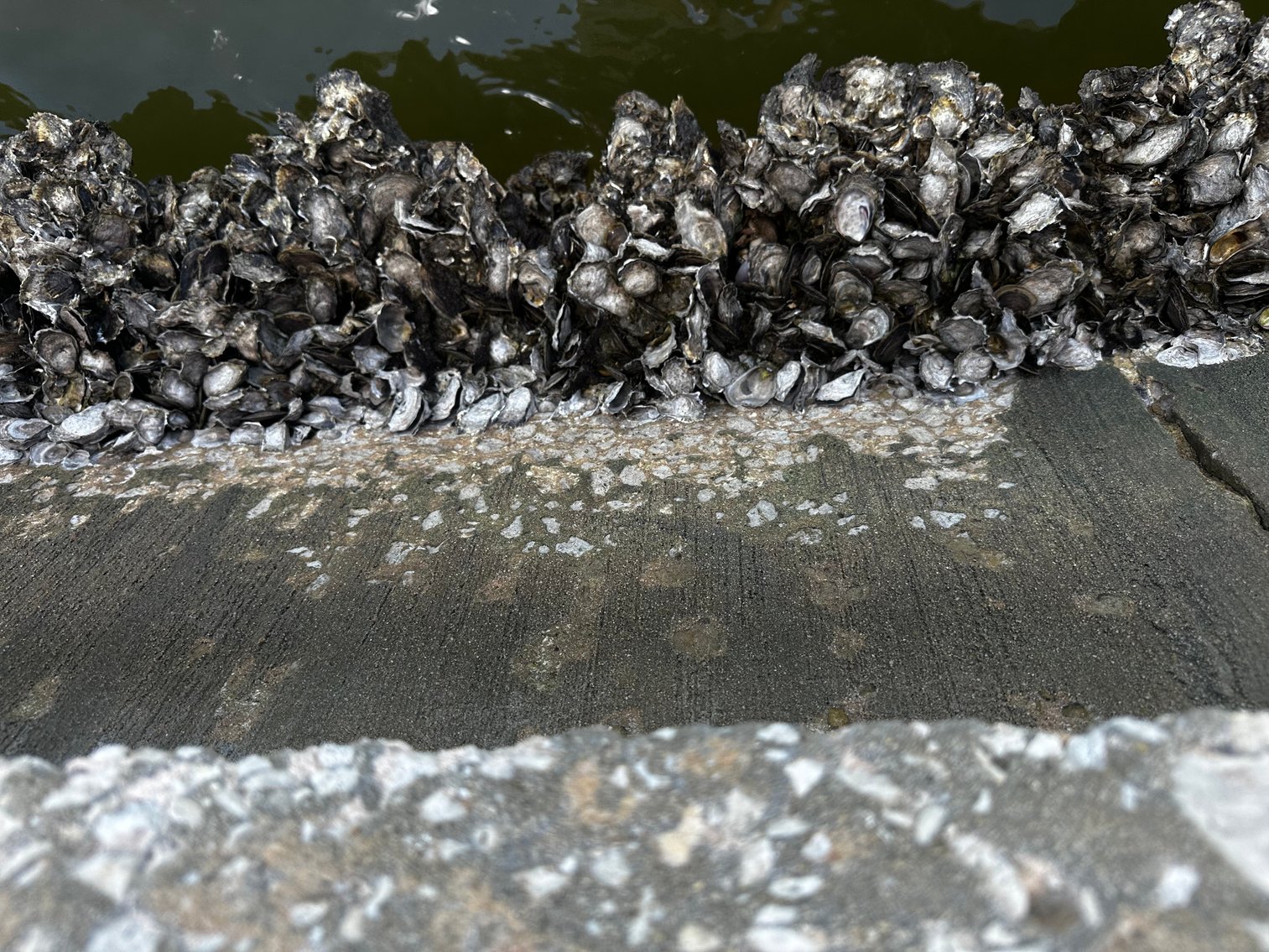 Image for 5903 BIMINI WAY N, ST PETE BEACH, Florida 33706