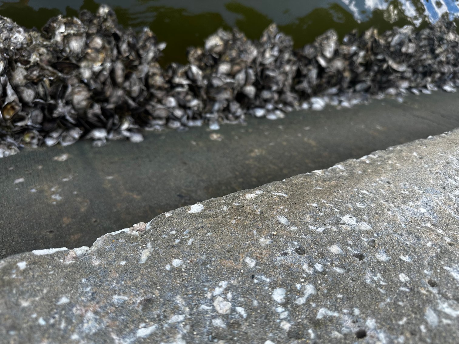 Image for 5903 BIMINI WAY N, ST PETE BEACH, Florida 33706