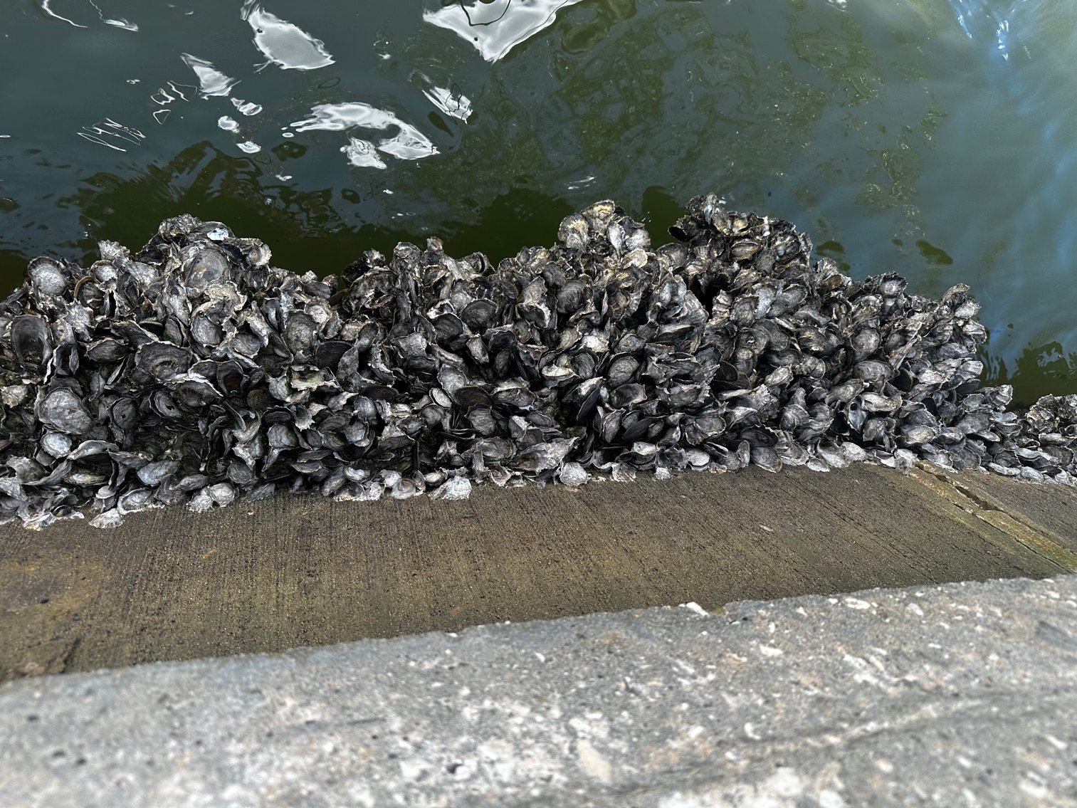 Image for 5903 BIMINI WAY N, ST PETE BEACH, Florida 33706