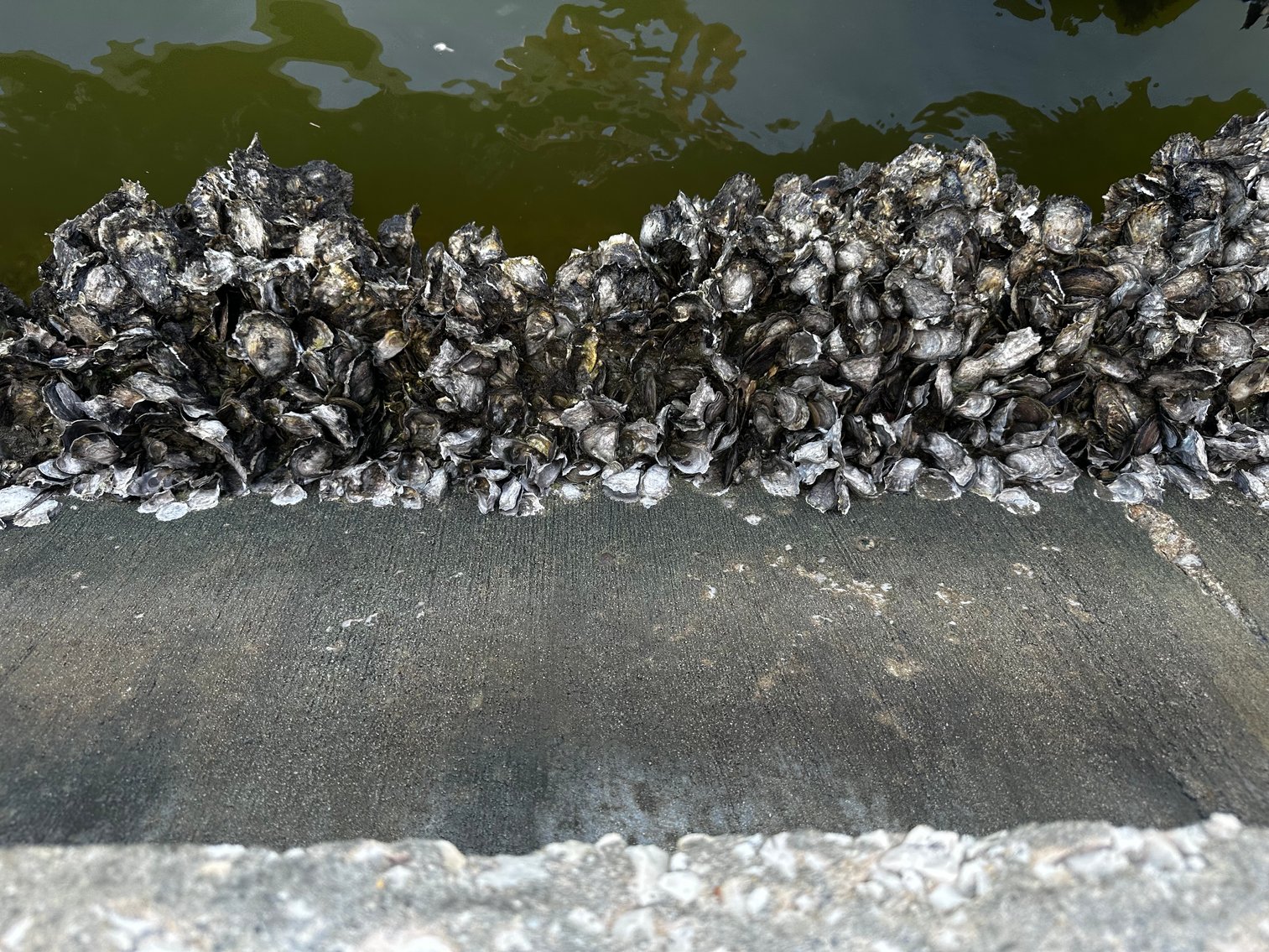 Image for 5903 BIMINI WAY N, ST PETE BEACH, Florida 33706