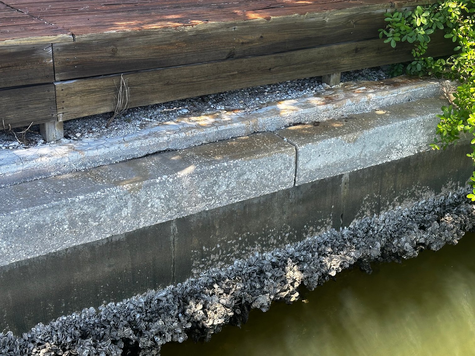 Image for 5903 BIMINI WAY N, ST PETE BEACH, Florida 33706