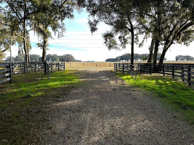 Image for 9451 SW 34th PL. Ocala 34481