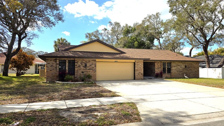 Image for 2890 ARMADILLO DR, PALM HARBOR, FL 34683