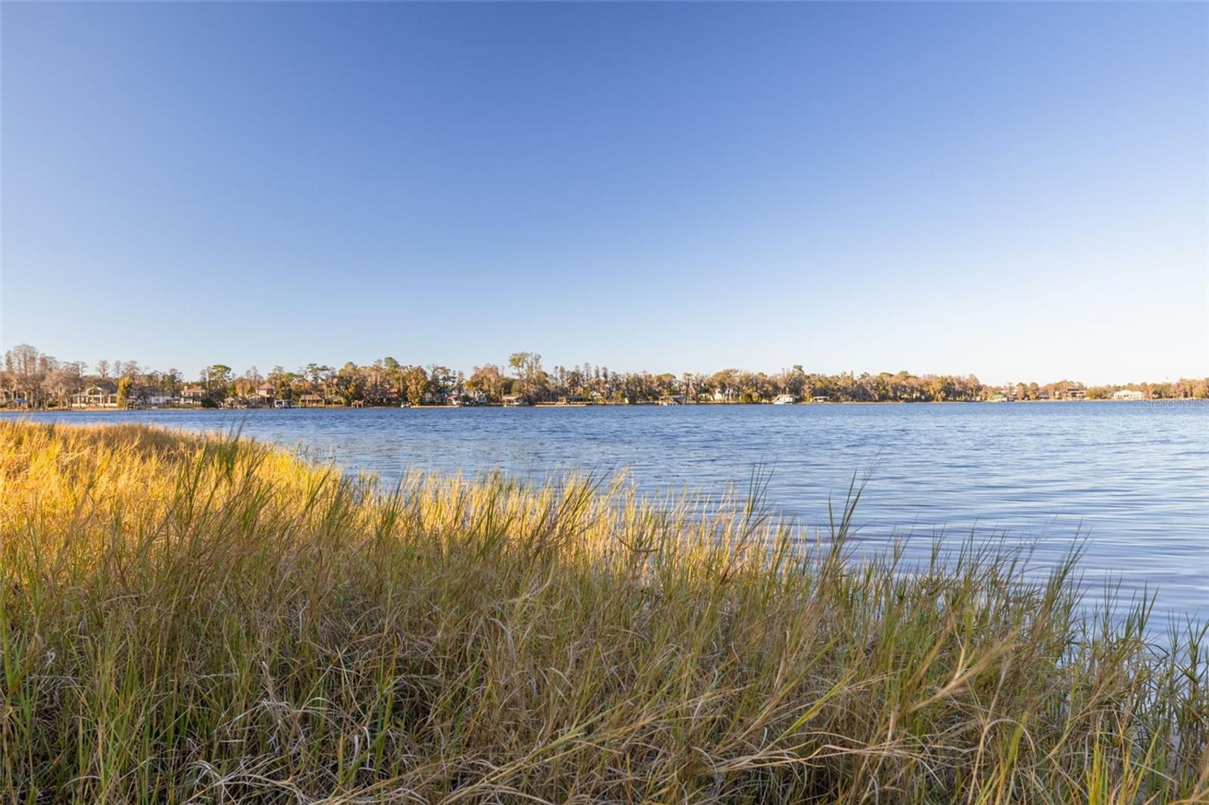 Image for 9505 Aqua Lane Odessa Florida