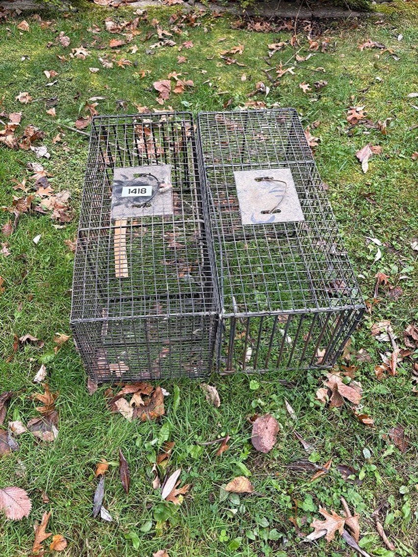 Image for TIM KLEVIN COLLECTION LIQUIDATION SALE