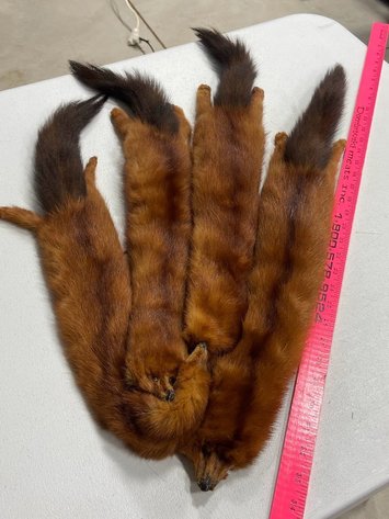 Image for Online Auction Heath Ohio Nov 11th