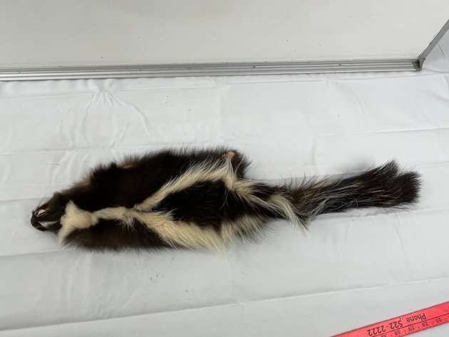 Image for Warehouse Online Auction July 6th