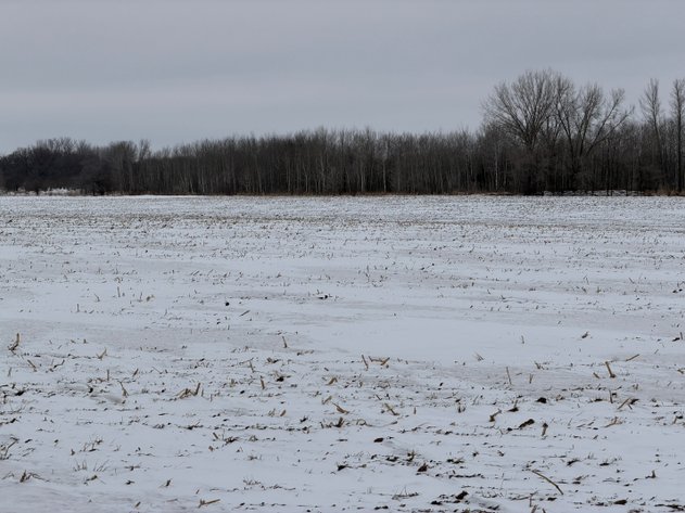 Image for Stearns County Lake George Township Online Only Land Auction