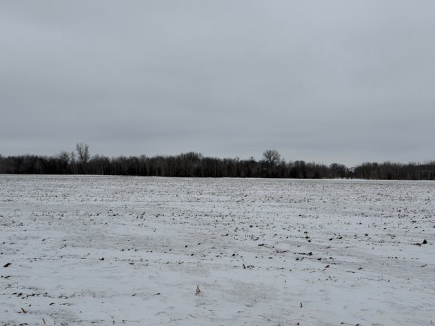 Image for Stearns County Lake George Township Online Only Land Auction