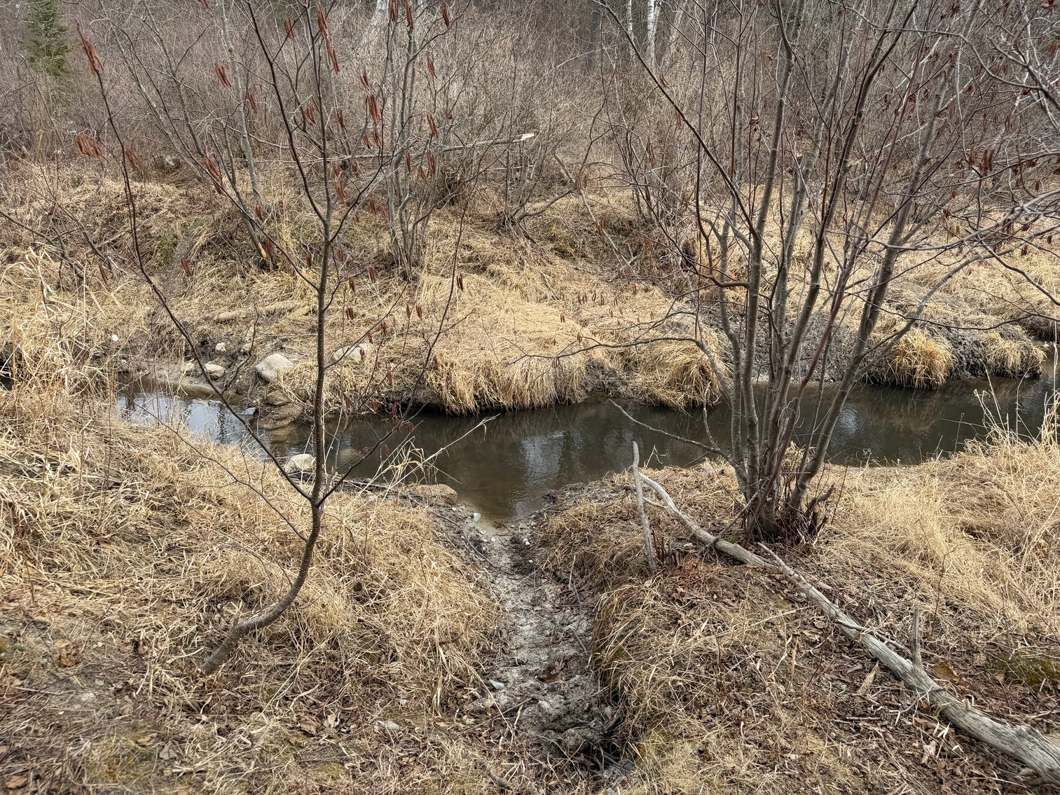 Image for Hunting/Recreation Land Hubbard County MN Auction