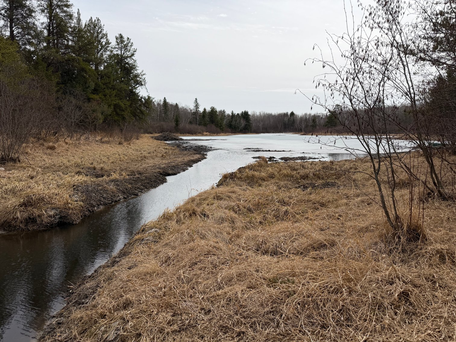 Image for Hunting/Recreation Land Hubbard County MN Auction