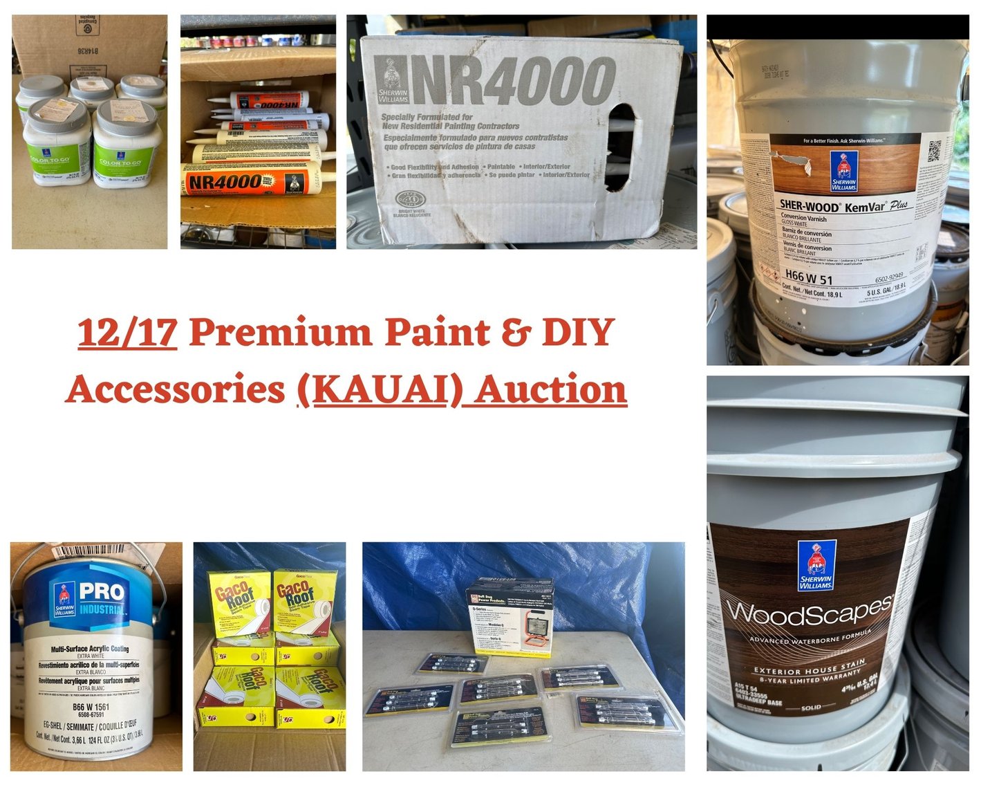 Image for 12/17 Premium Paint & DIY Accessories (KAUAI) Auction