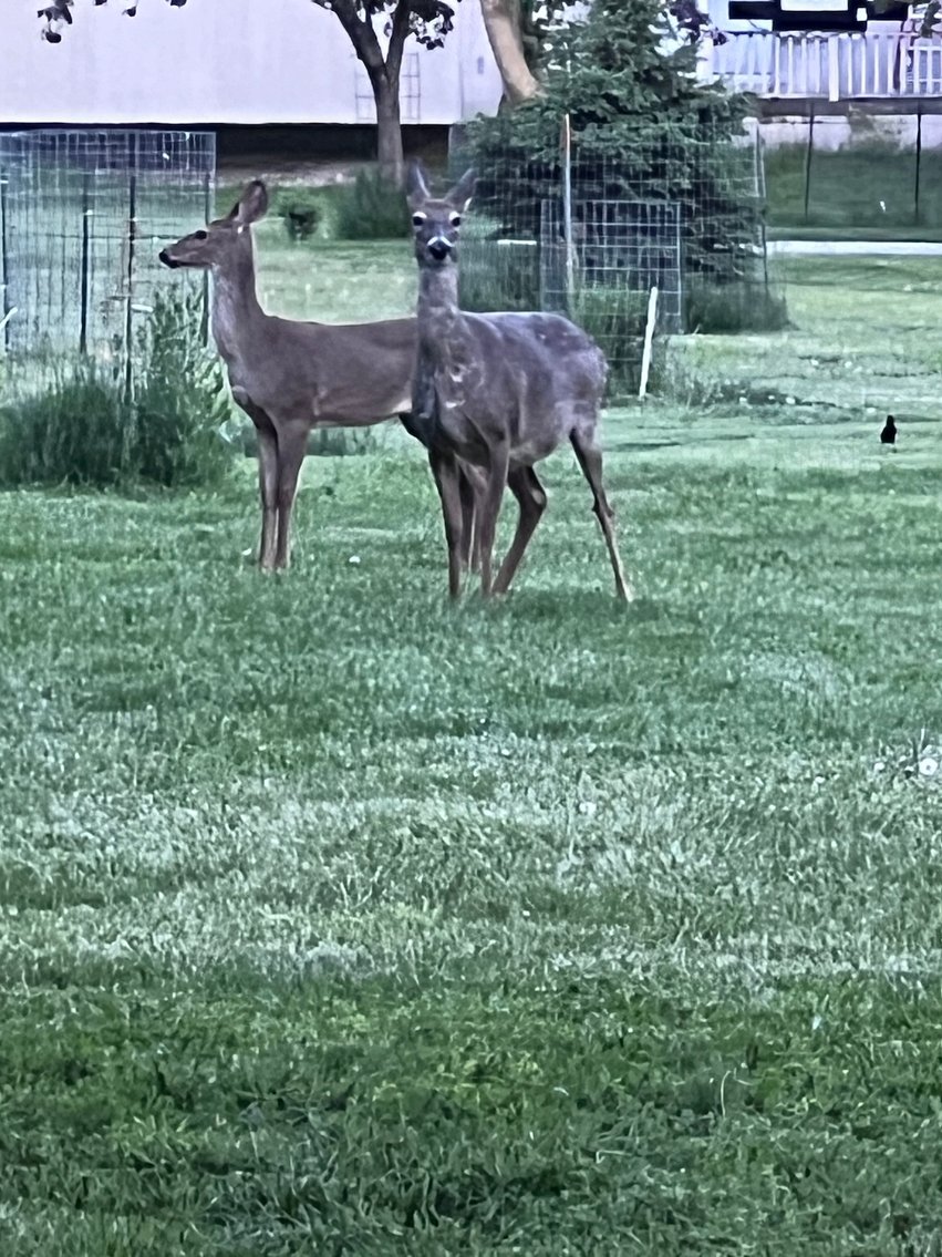 Image for Lakeview 2 Story 5 Bedroom Home Selling at LIVE Auction