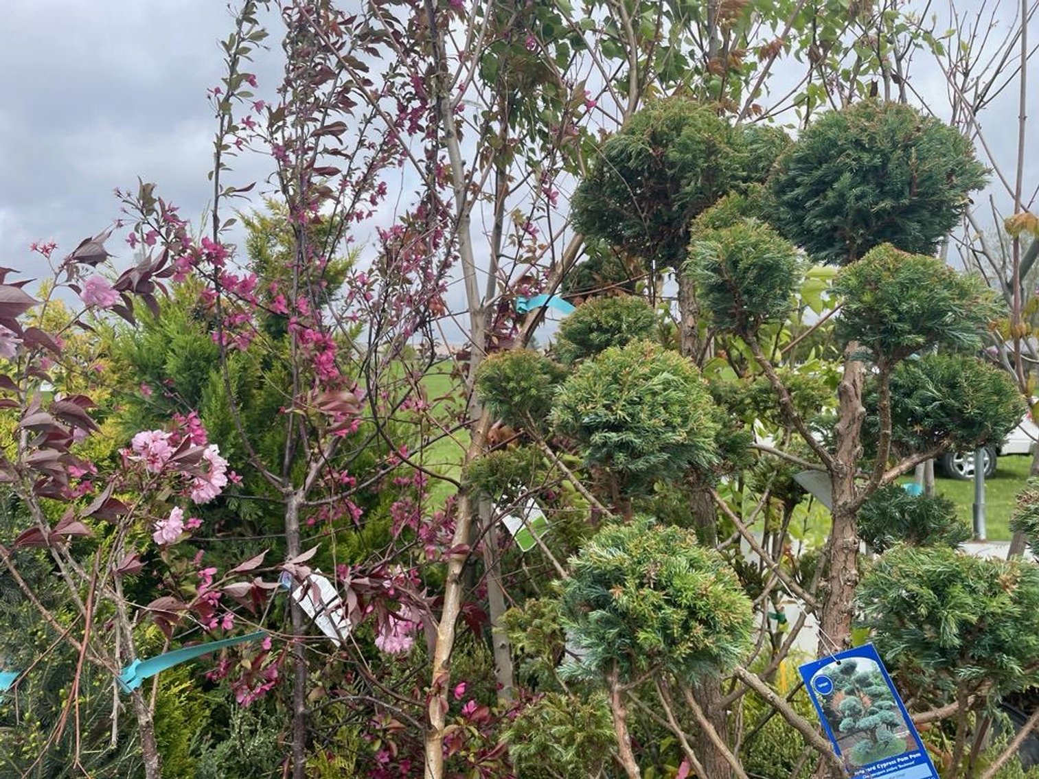 Image for Spring Lawn & Garden Consignment Auction - Live Event