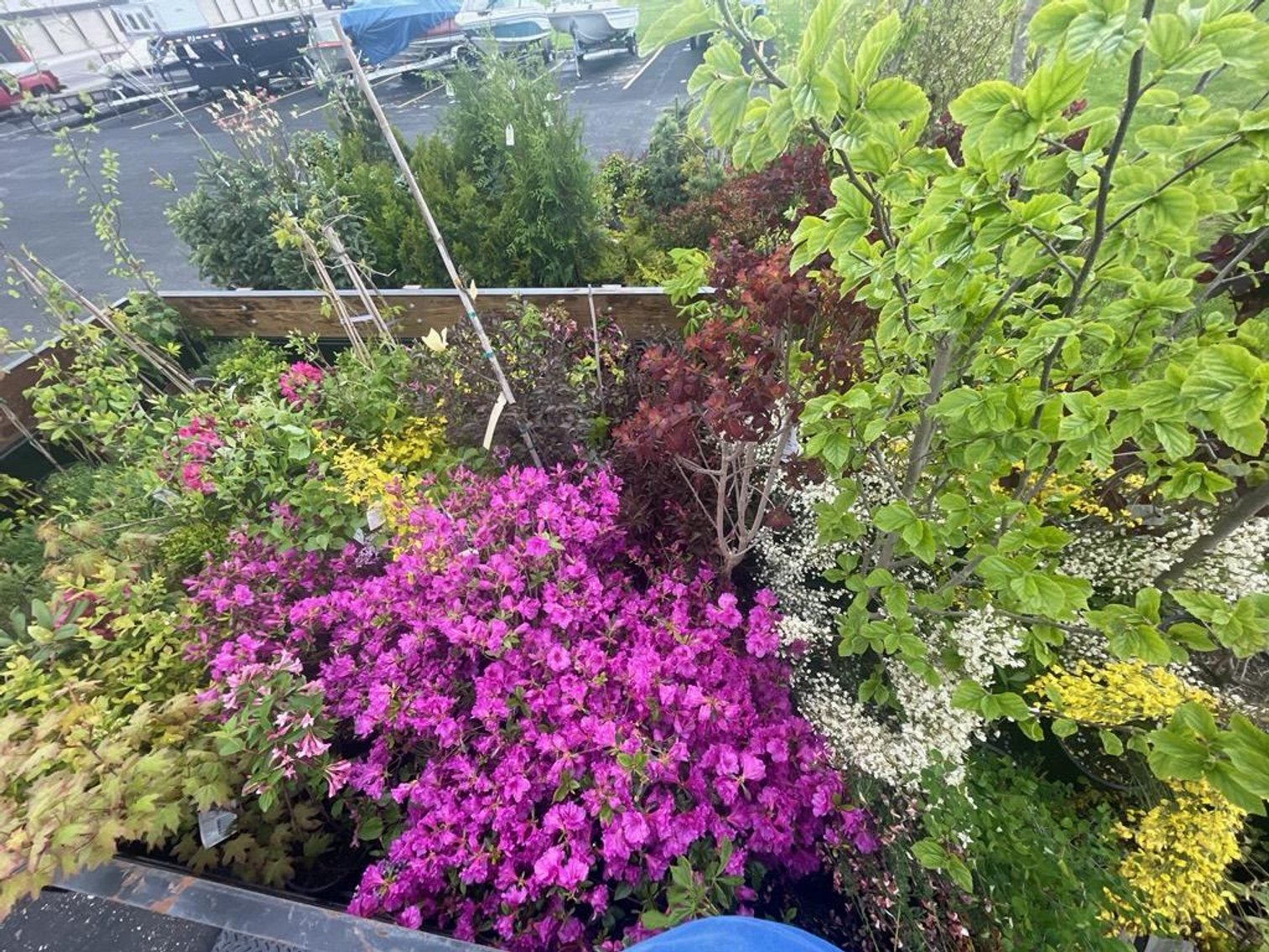 Image for Spring Lawn & Garden Consignment Auction - Live Event