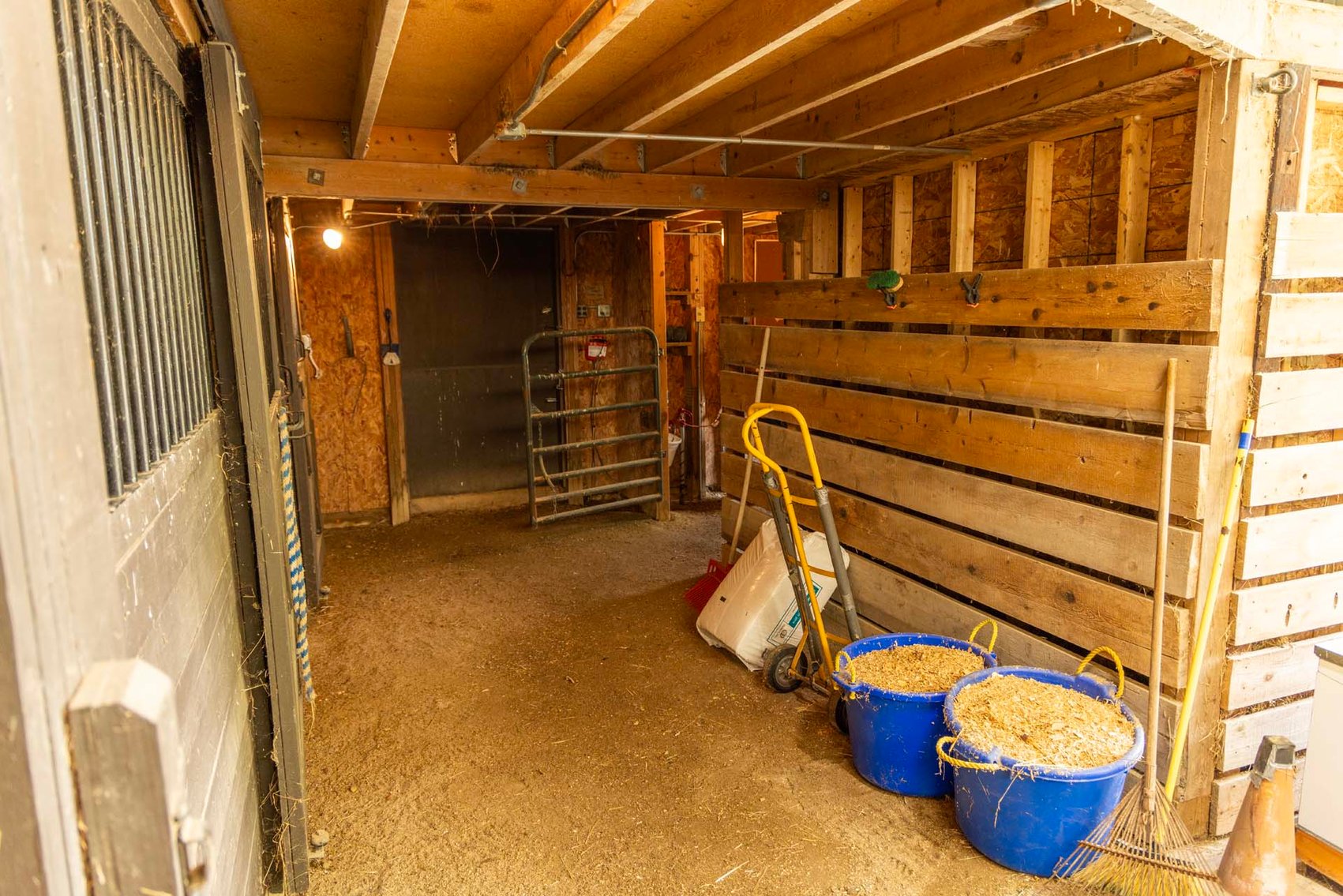 Image for +/-14 Acre Town of Erin Horse Farm; 6039 Shannon Rd., Hartford, WI 53027