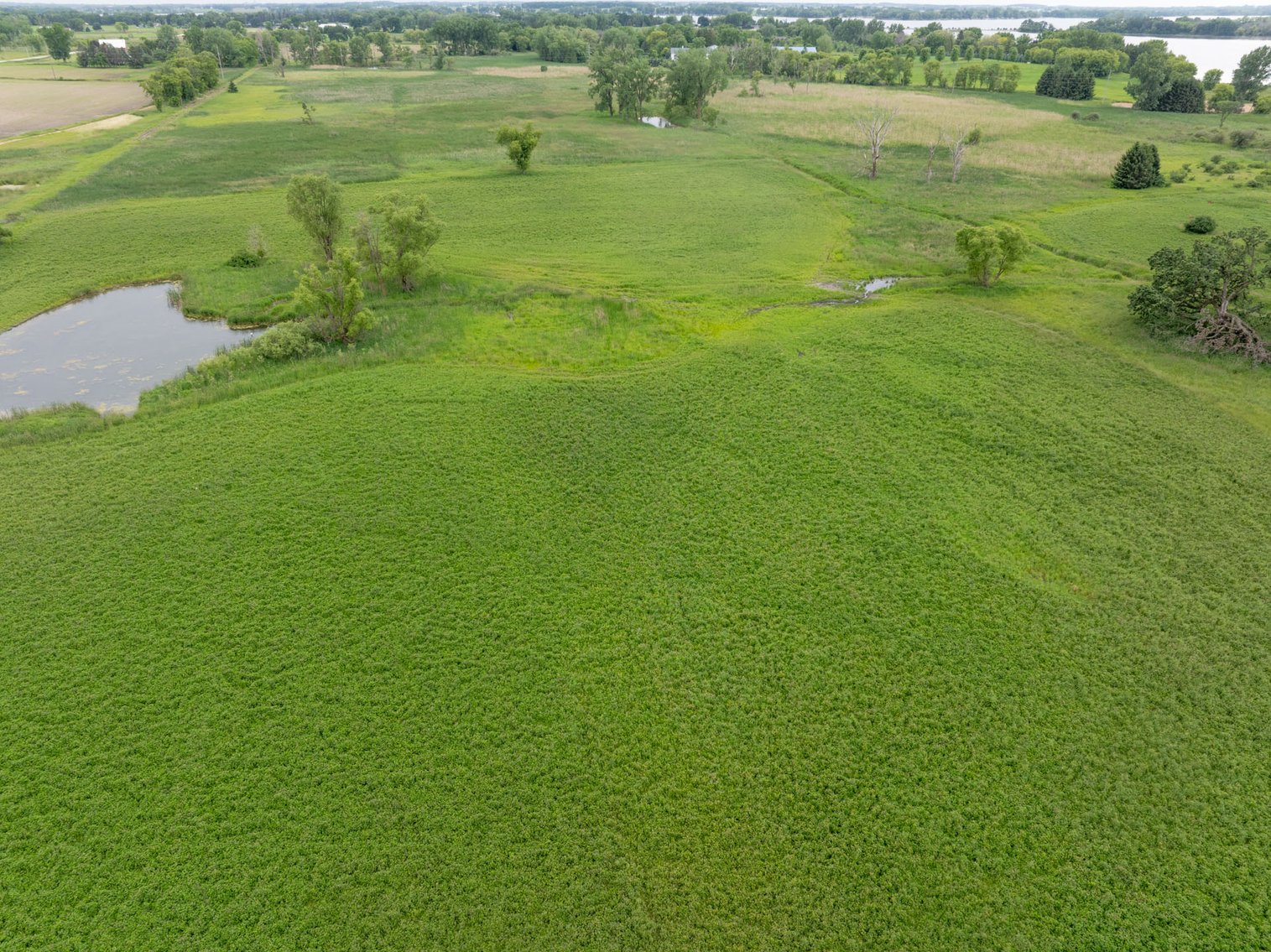 Image for 65 acre Hunting Land & Private Retreat, Fox Lake, WI