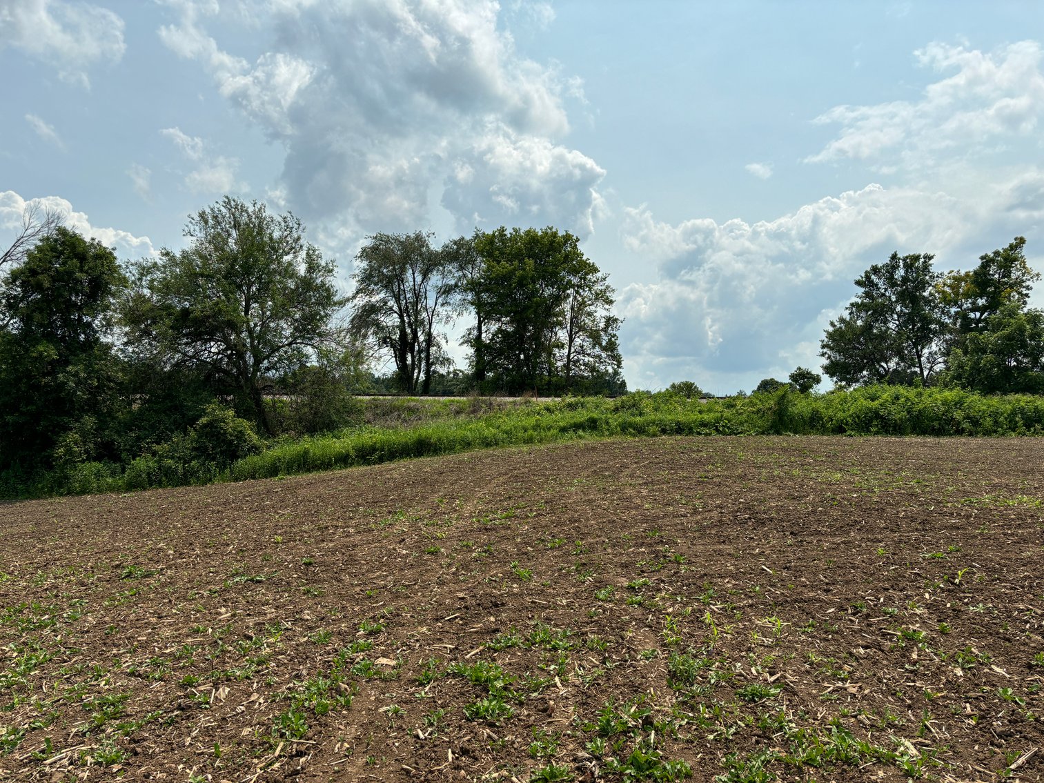 Image for 22 Acres Vacant Land, Kohlhoff Ln, Watertown For Sale by Online Bidding