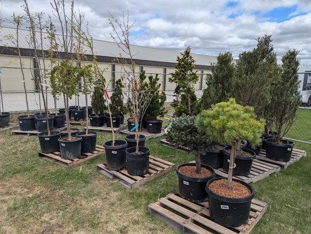 Image for Day 2 - 27th Annual Spring Lawn & Garden Online Consignment Auction