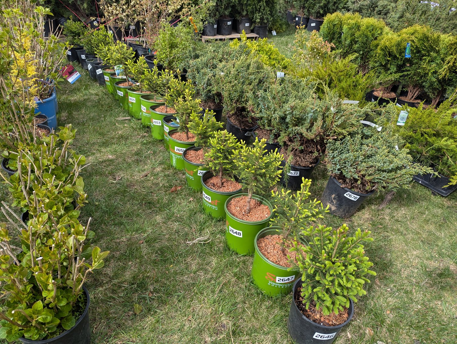 Image for Day 2 - 27th Annual Spring Lawn & Garden Online Consignment Auction