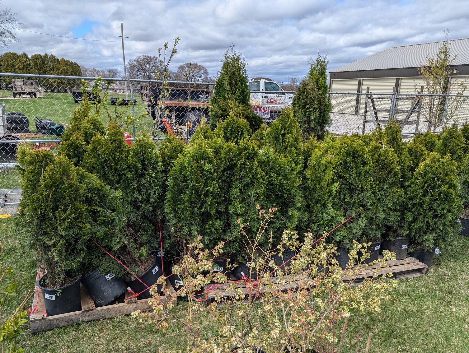 Image for Day 2 - 27th Annual Spring Lawn & Garden Online Consignment Auction