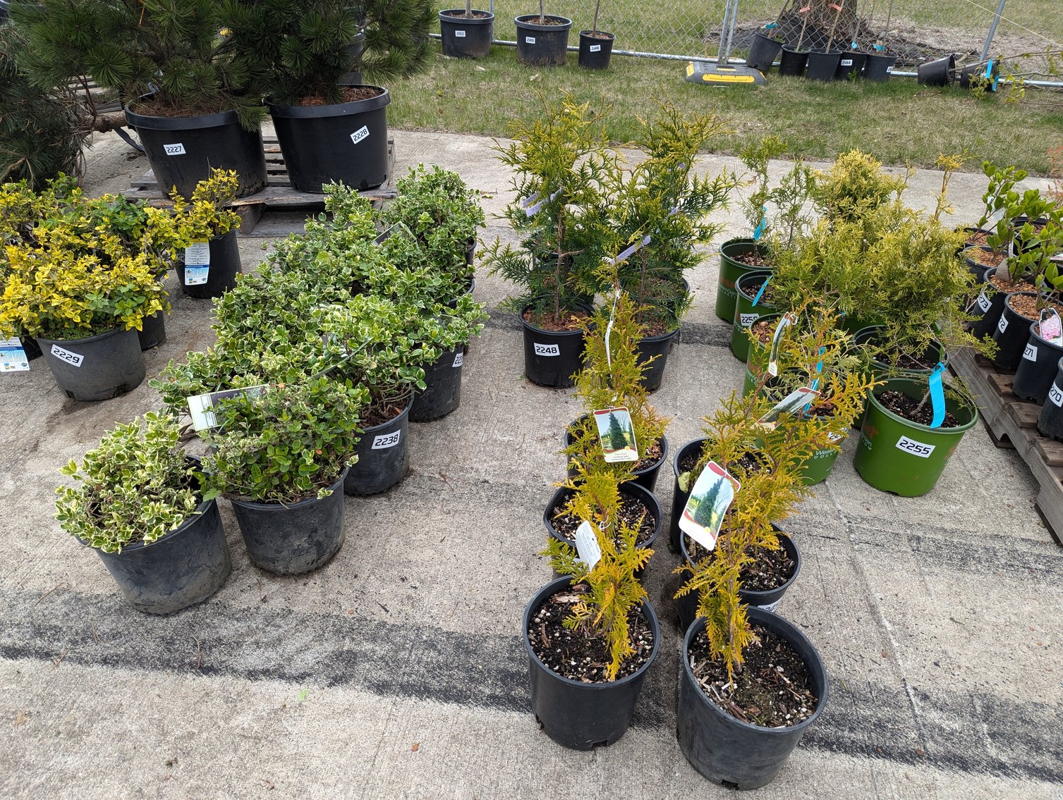 Image for Day 2 - 27th Annual Spring Lawn & Garden Online Consignment Auction