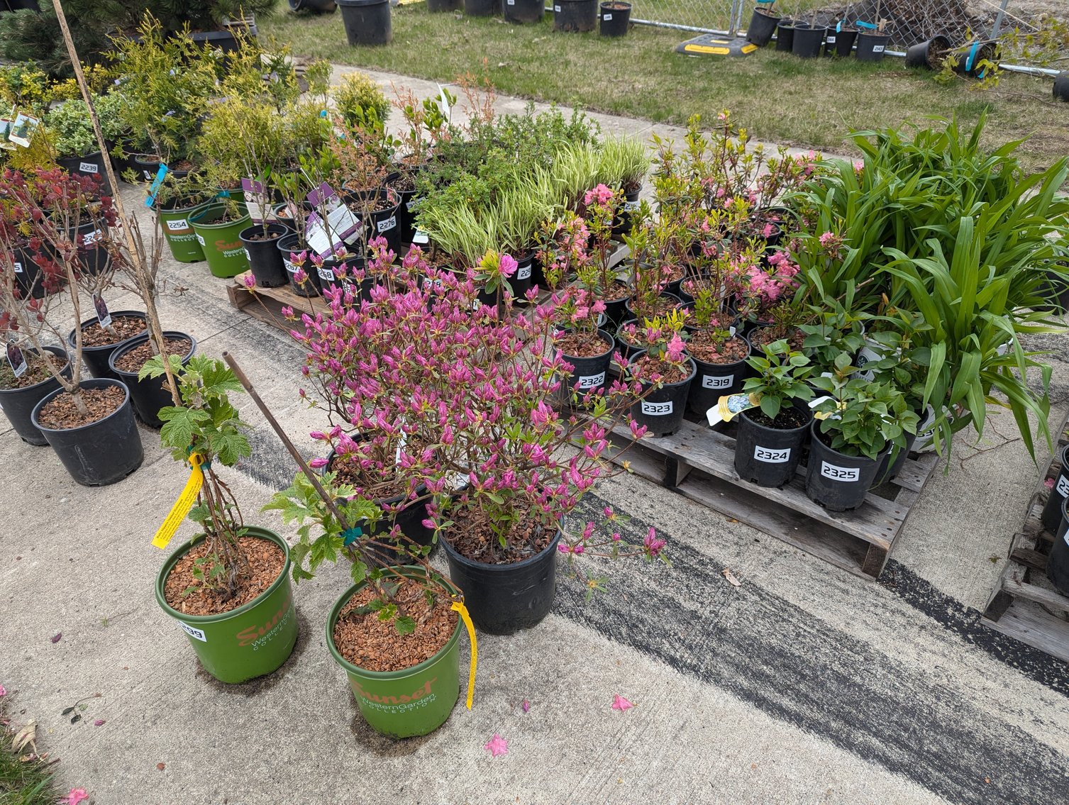 Image for Day 2 - 27th Annual Spring Lawn & Garden Online Consignment Auction