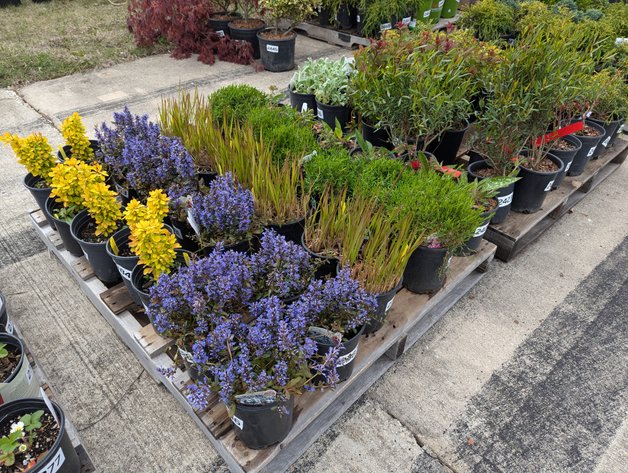 Image for Day 2 - 27th Annual Spring Lawn & Garden Online Consignment Auction