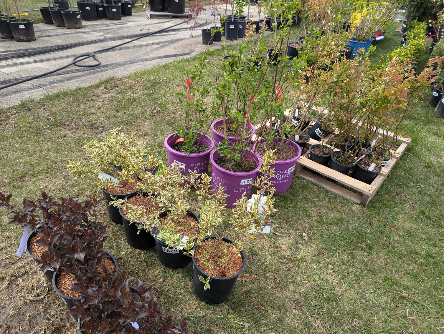 Image for Day 2 - 27th Annual Spring Lawn & Garden Online Consignment Auction