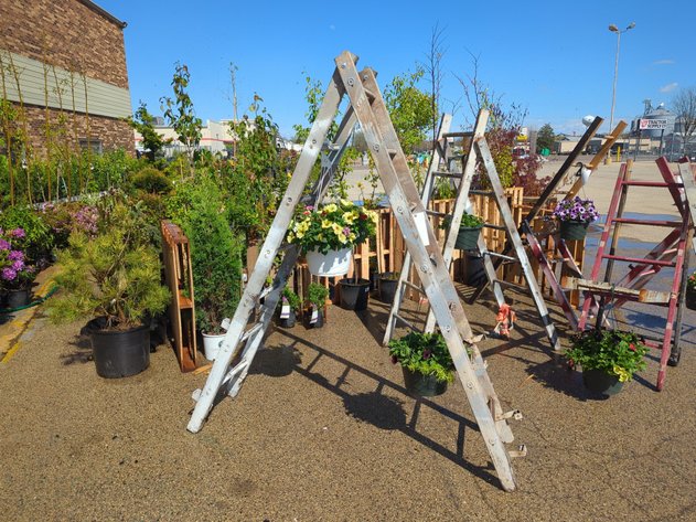 Image for Waupun Nursery Stock & Consignment Online Auction