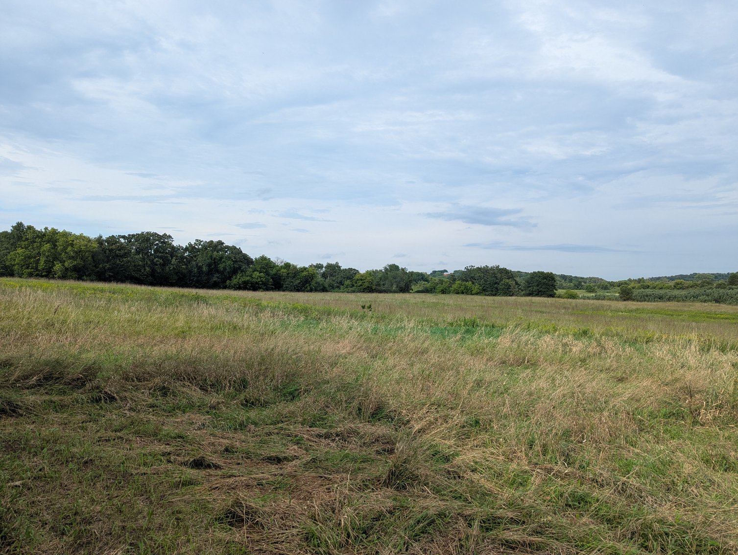 Image for 136.5 Acre Farm in Waterloo/Jefferson County