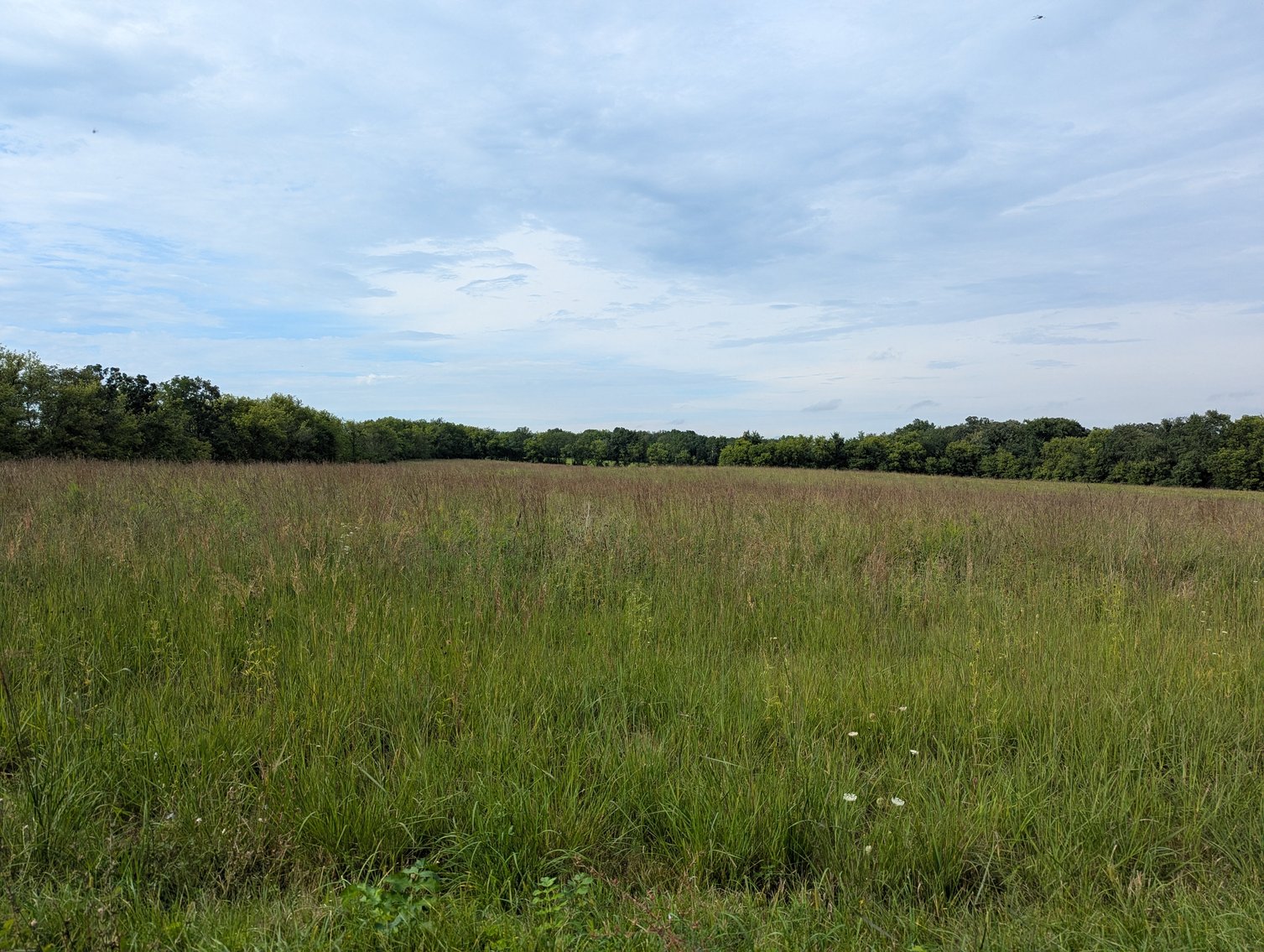 Image for 136.5 Acre Farm in Waterloo/Jefferson County