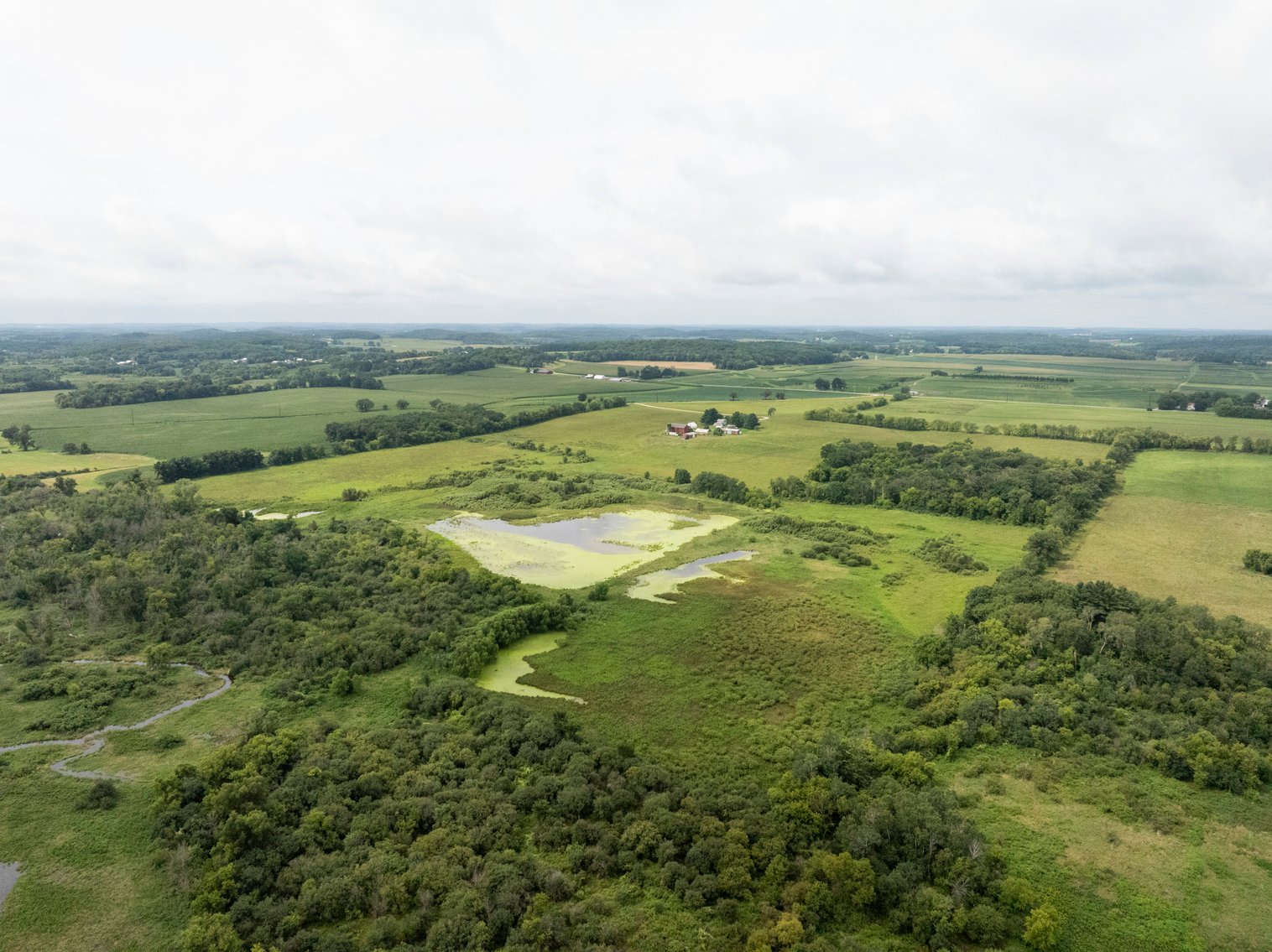 Image for 136.5 Acre Farm in Waterloo/Jefferson County
