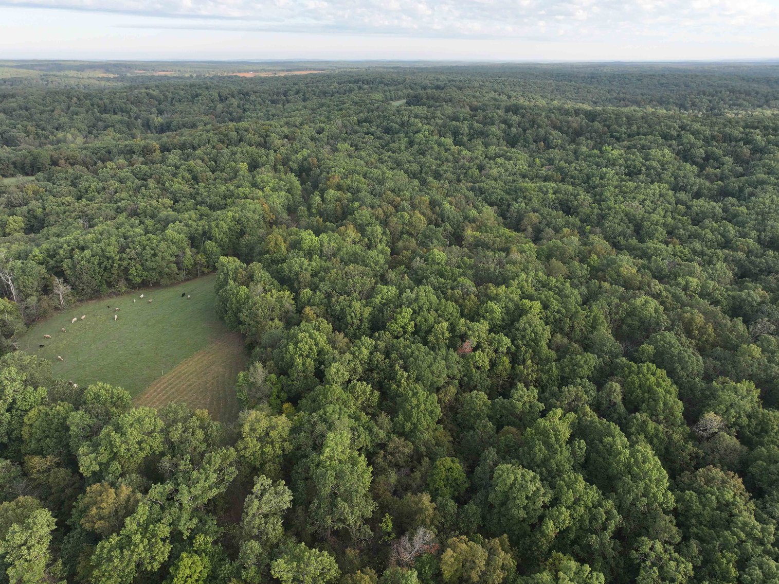 Image for Perry County, Hwy BB