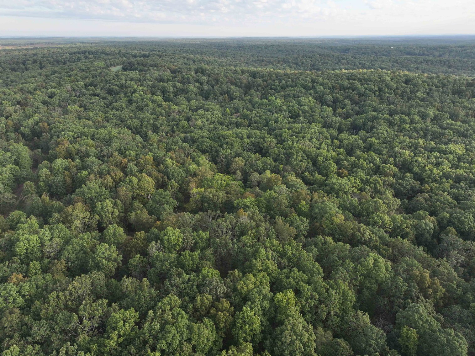 Image for Perry County, Hwy BB