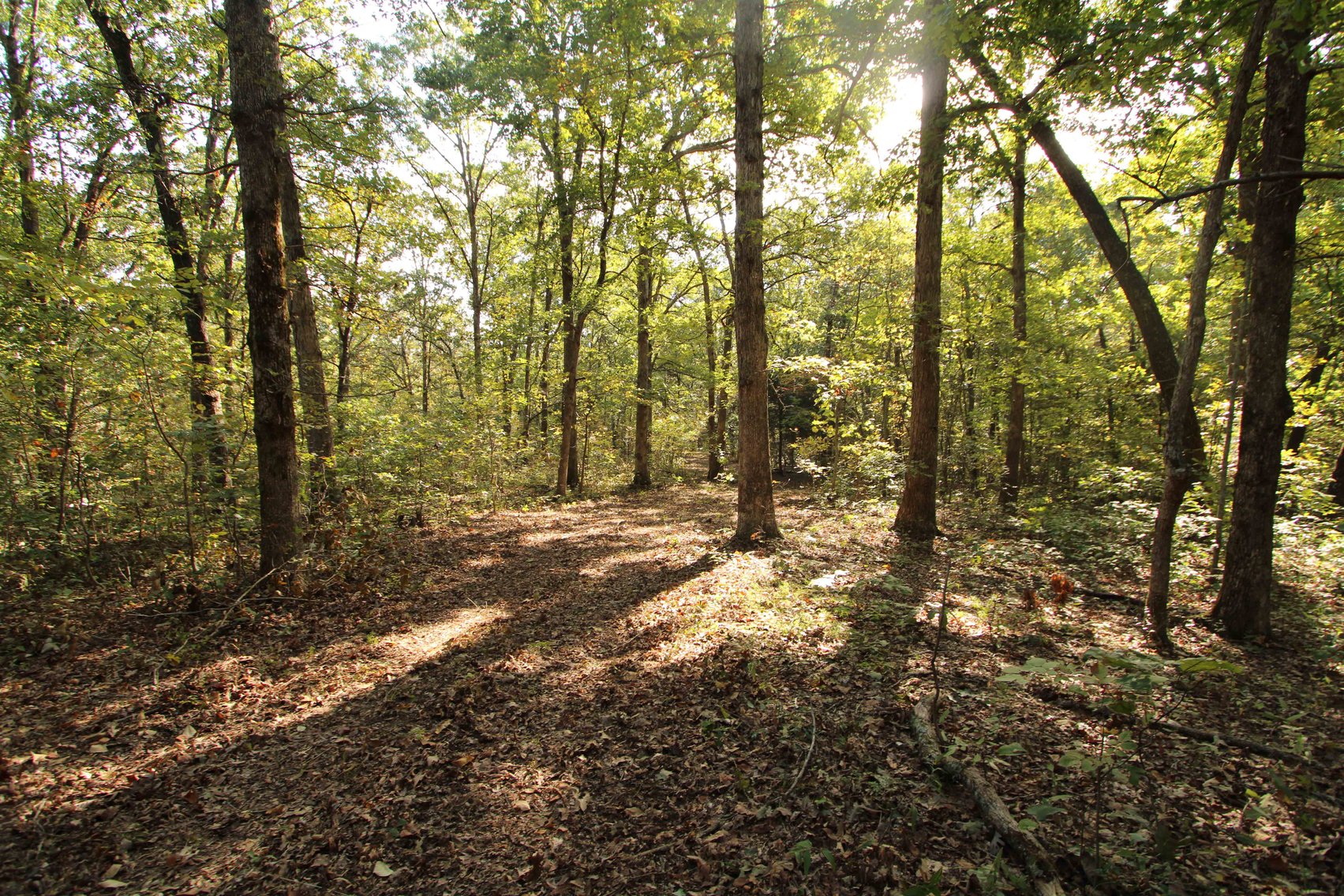 Image for Perry County, Hwy BB