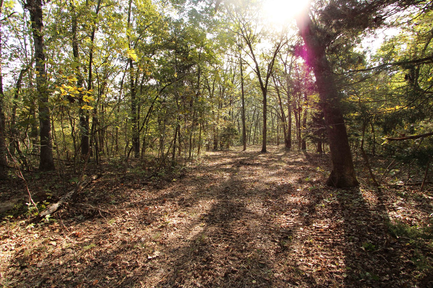 Image for Perry County, Hwy BB