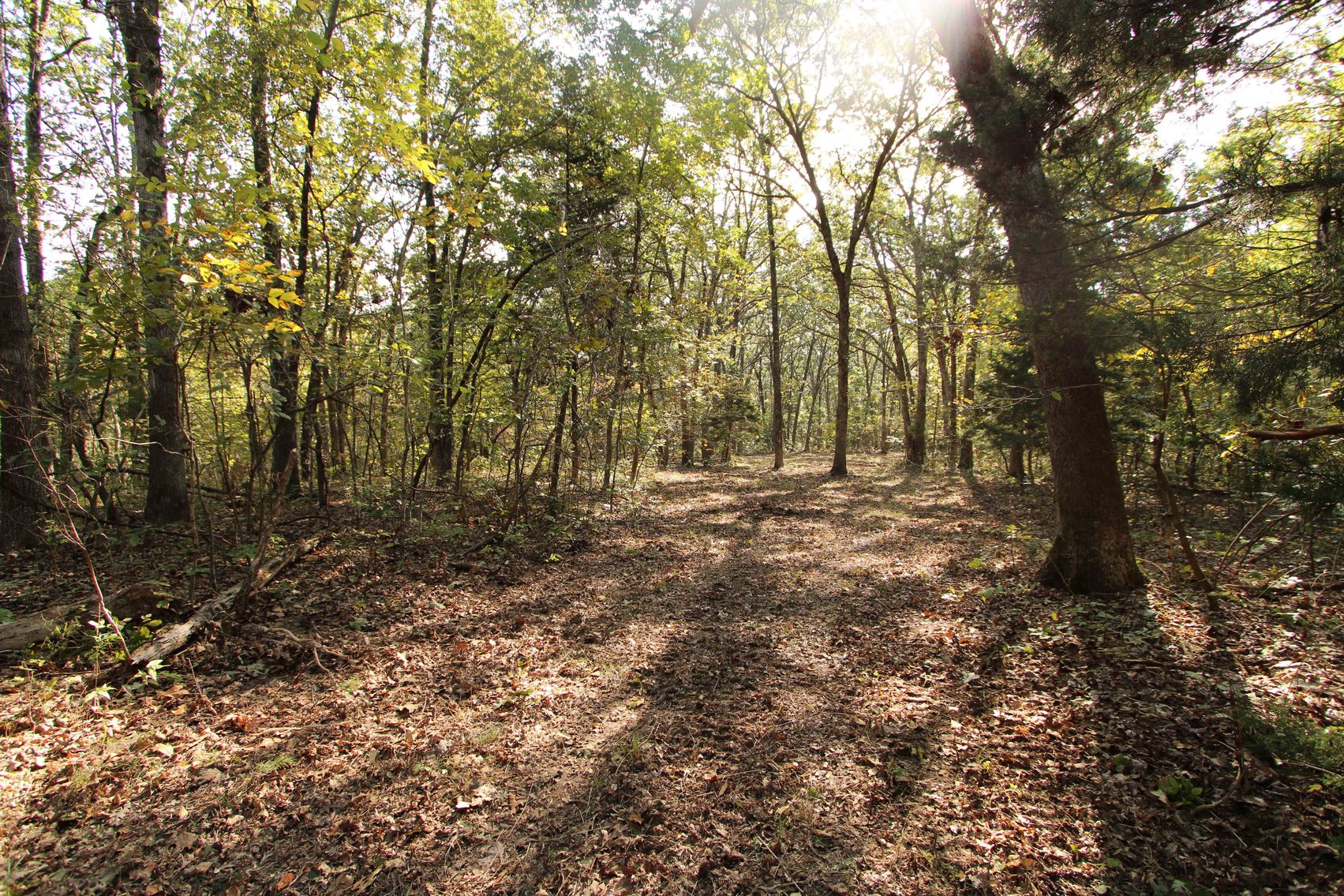 Image for Perry County, Hwy BB