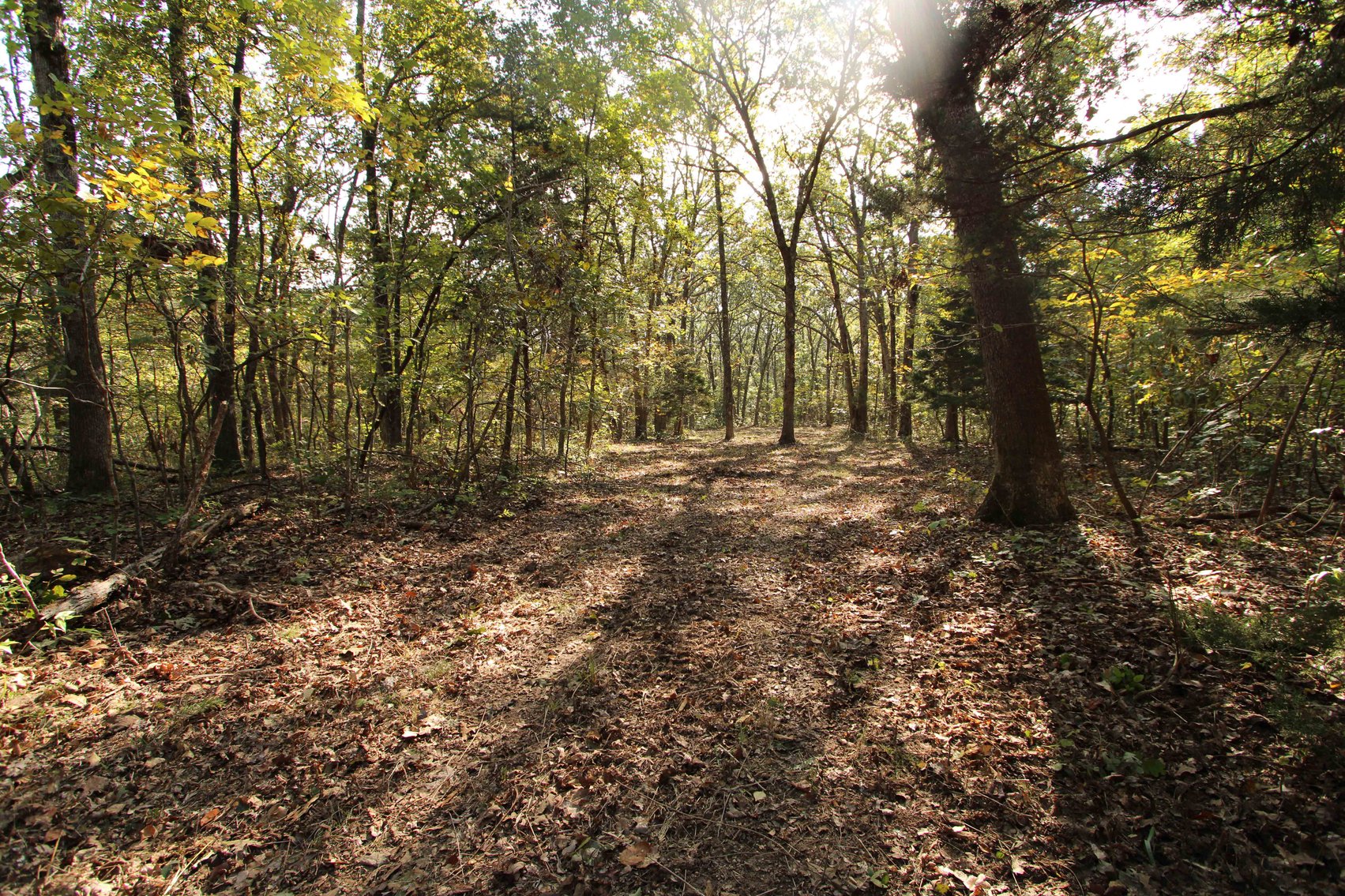 Image for Perry County, Hwy BB