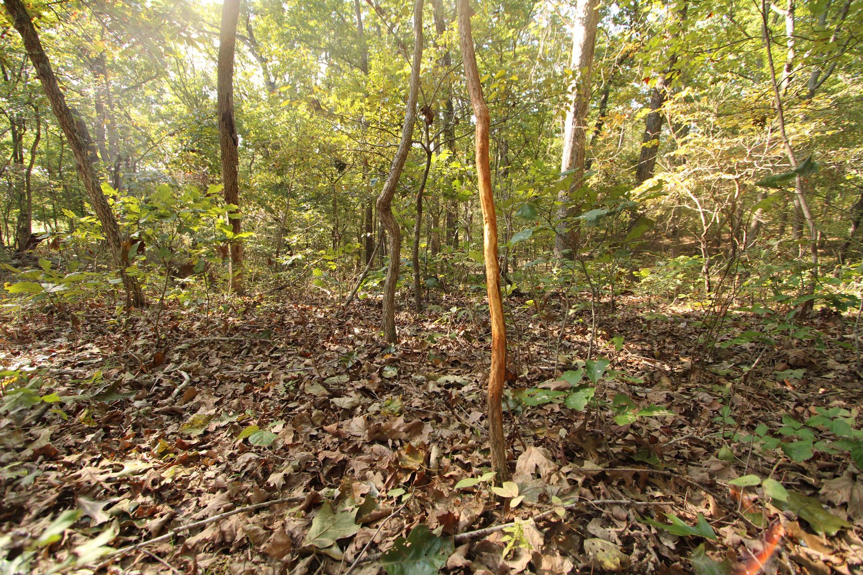 Image for Perry County, Hwy BB