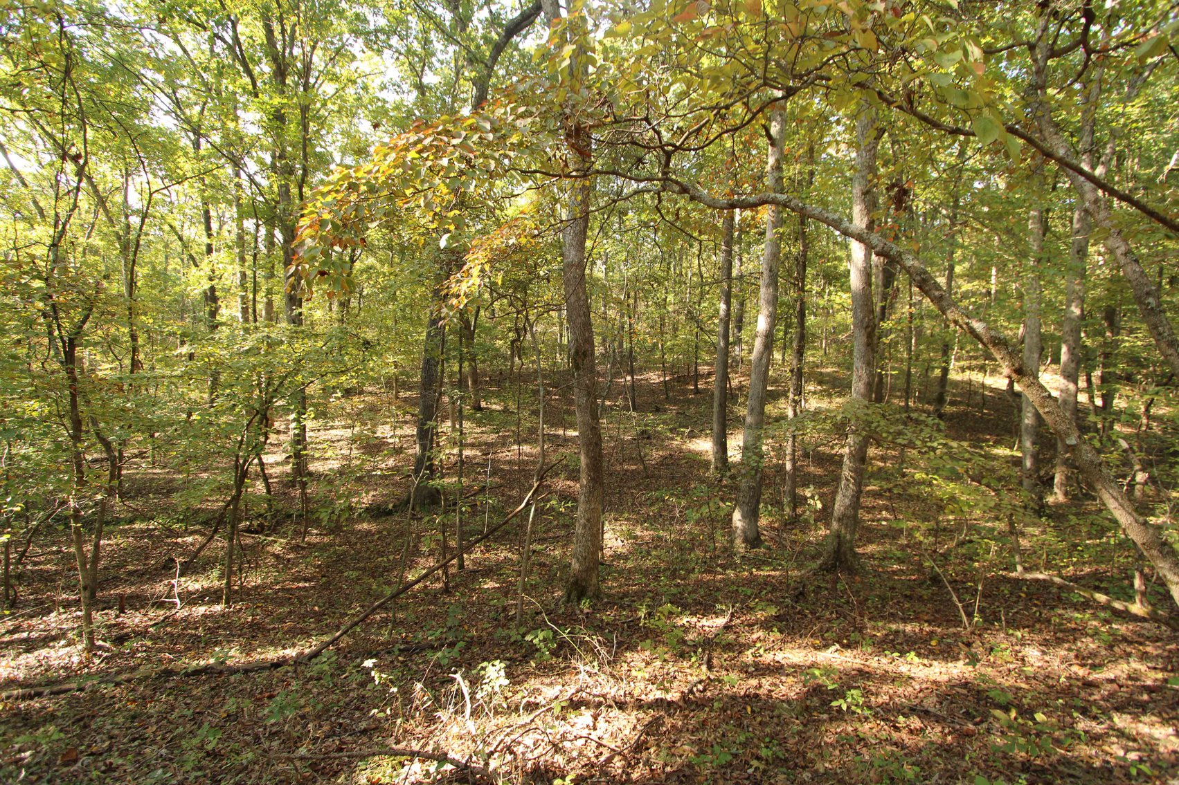 Image for Perry County, Hwy BB