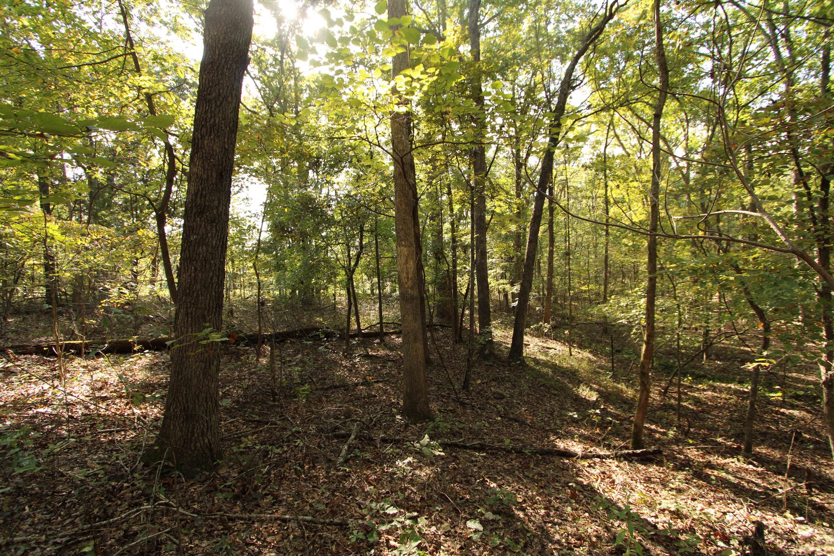 Image for Perry County, Hwy BB