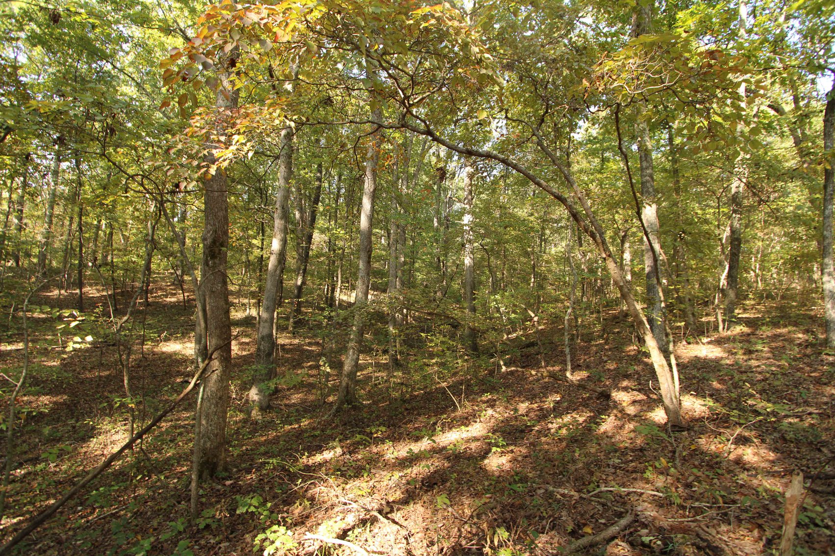 Image for Perry County, Hwy BB