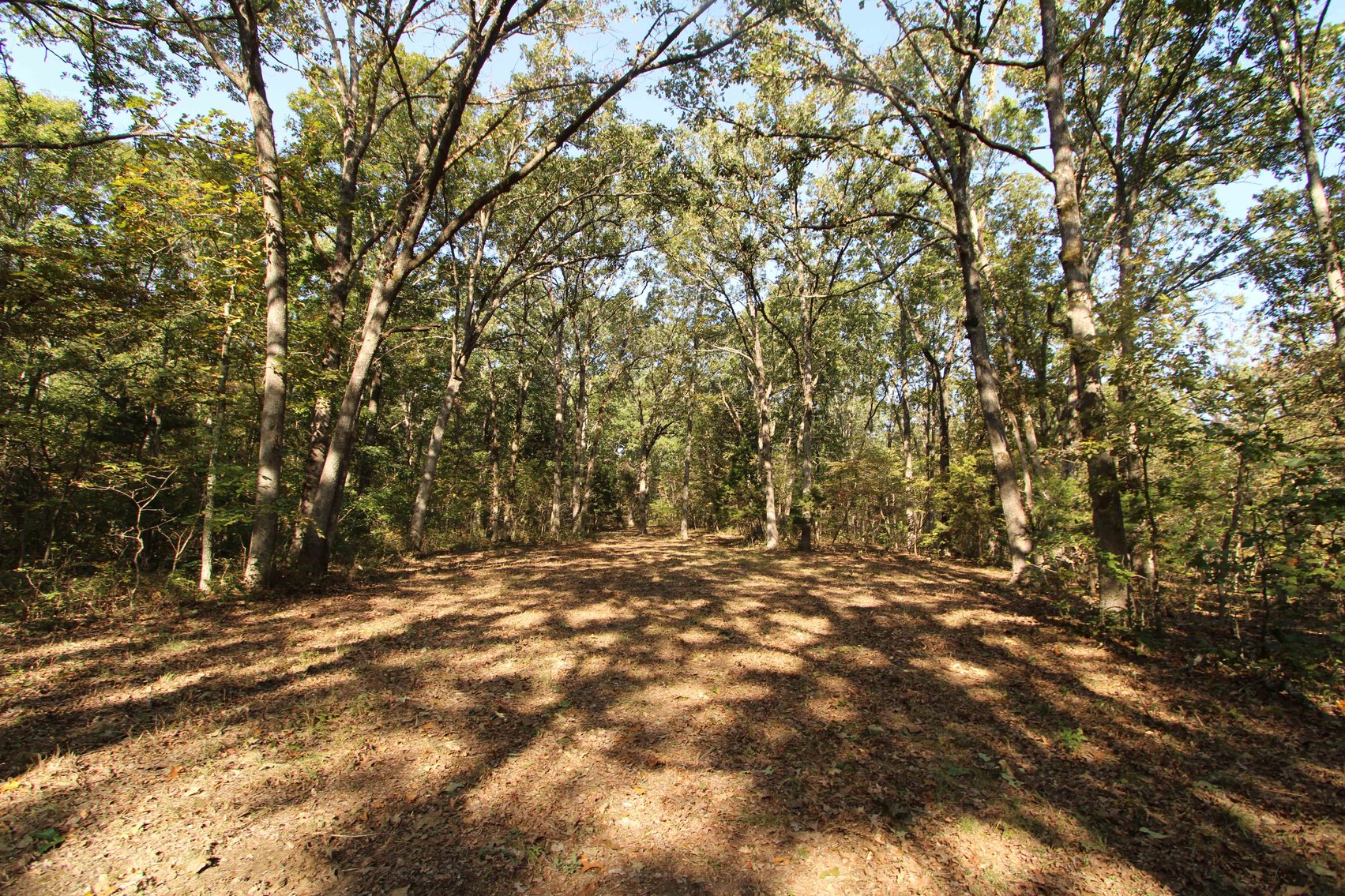 Image for Perry County, Hwy BB