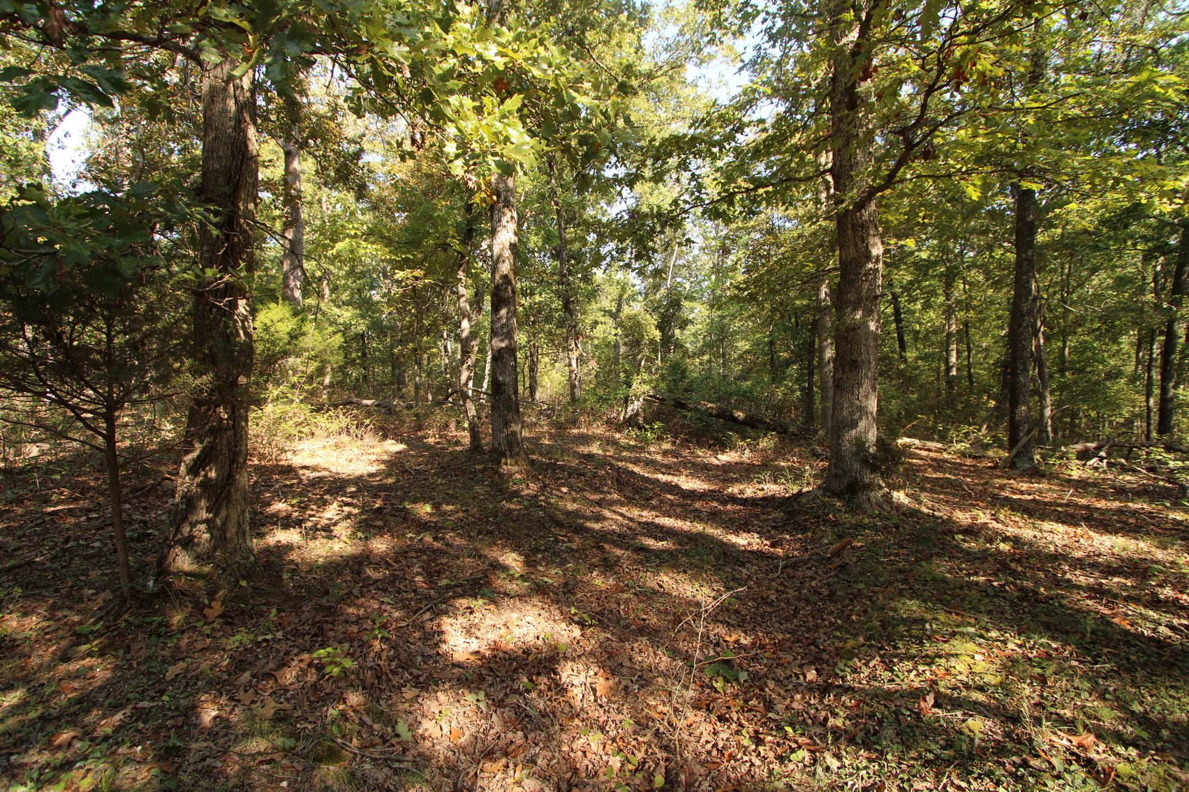 Image for Perry County, Hwy BB