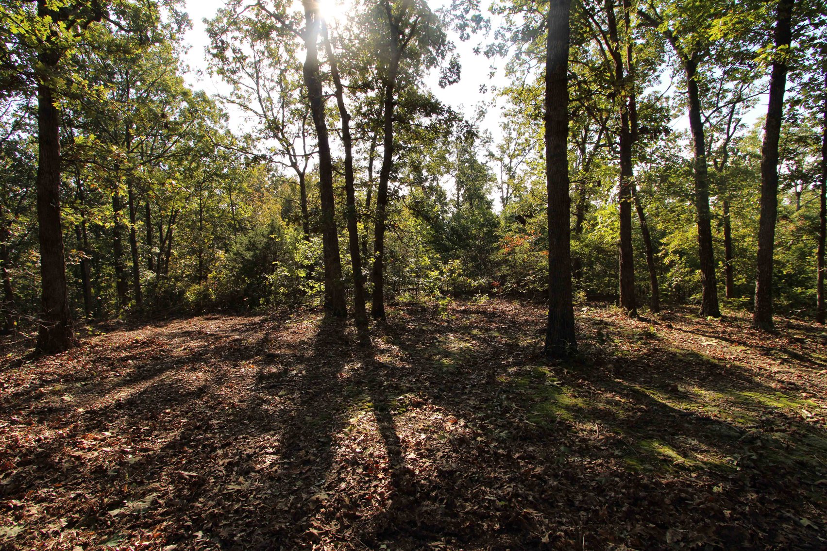 Image for Perry County, Hwy BB